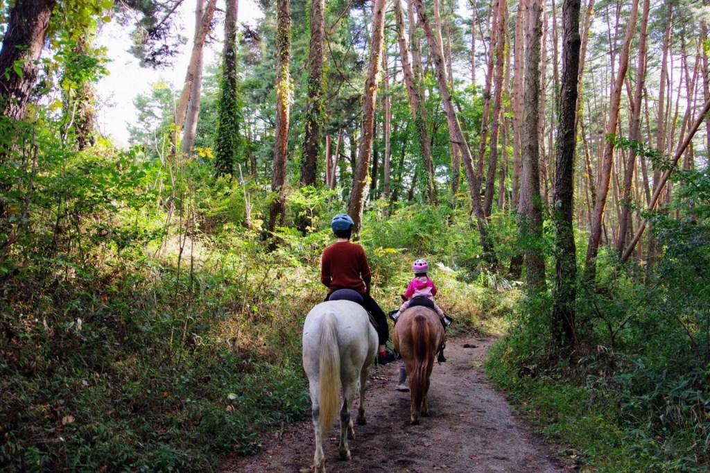 乗馬体験をする親子
